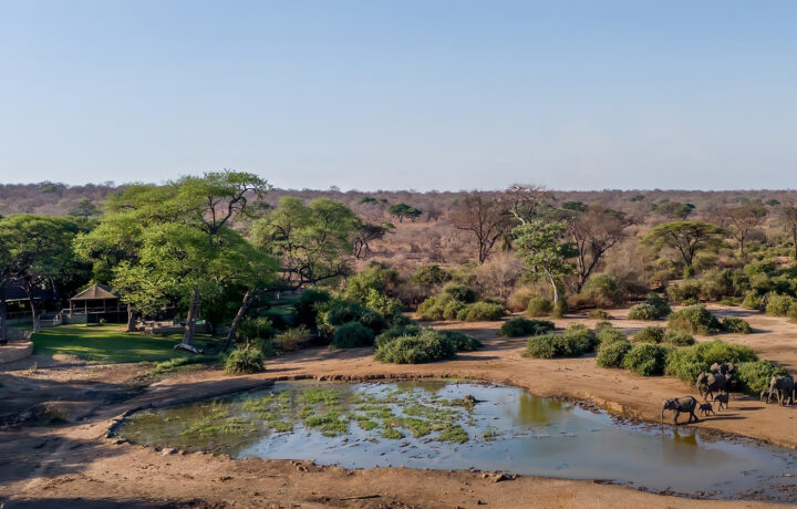 Elephant Valley Lodge 13